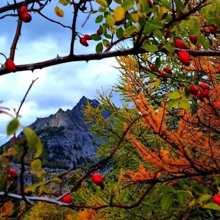 Apartamento Argenterabersezio *